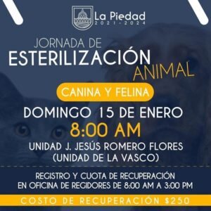 Habrá campaña de esterilización animal en La Piedad.