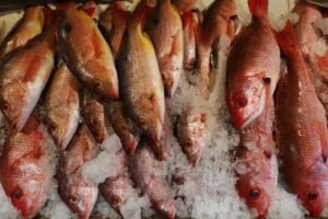 Activan operativo de Cuaresma vigilando venta de pescados y mariscos