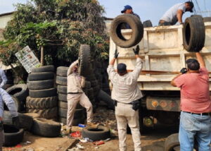 Intensifican acciones contra dengue en los 113 municipios