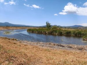 Hallazgo de tres nuevos manantiales consolidan rescate del lago de Pátzcuaro