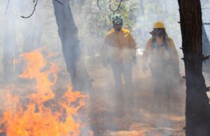 Atienden incendio forestal en Nuevo Urecho