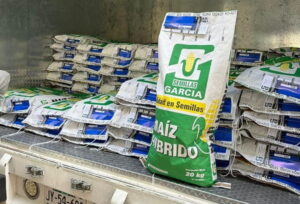 Distribuyen semilla certificada que blindará más de 6 mil hectáreas de cultivo