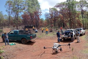 Dispersan 12 mil semillas en Pátzcuaro para restaurar el Estribo Grande