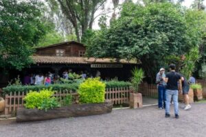 Cabaña Encantada: el atractivo que desafía la gravedad en el Zoológico de Morelia