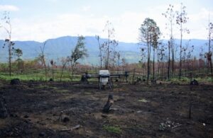 Usan drones para reforestar zonas inaccesibles de Michoacán con programa Bio Renace