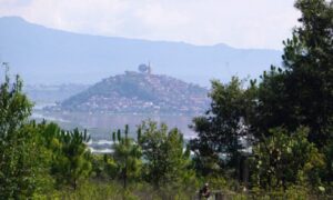 Reforestación en Michoacán, clave para la recuperación de ecosistemas y recursos hídricos