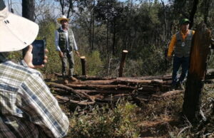 Michoacán restaura suelos forestales en 12 municipios afectados por incendios