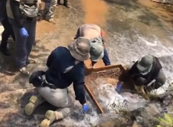 ¿1,600 dientes de leche en una fosa clandestina de Michoacán? Esto es lo que se sabe