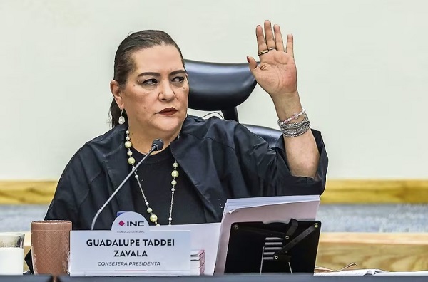 Guadalupe Taddei anuncia su renuncia a la presidencia del INE